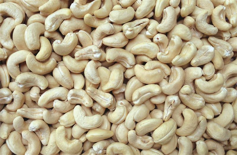 myan-cashew-exporter-ww-240-white-wholes